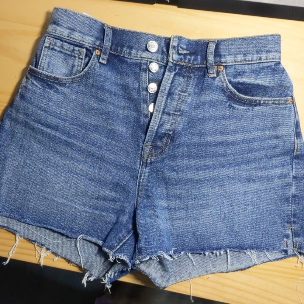 Pacsun High Rise Icon Shorts